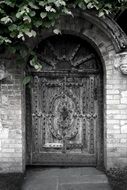 door oak iron studs