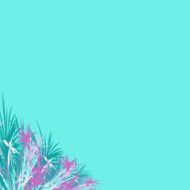 the background blue flowers