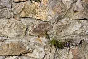 natural stone wall sand