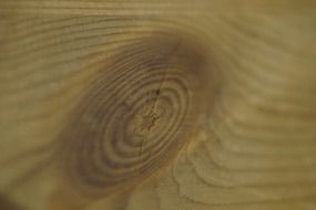 wood knot structure