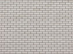 bricks brick wall white