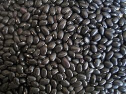 black beans dried food