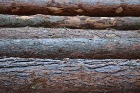 Natural wood labmbers