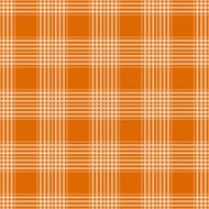 orange plaid with tartan checks