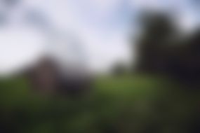 soft blurred field