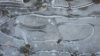 ice frozen puddle cold winter