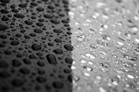 raindrops car drops rain after