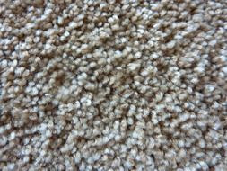 carpet room rug floor background