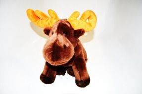 Teddy Brown Deer