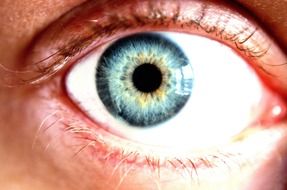 eye blue cornea color macro