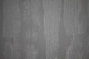 grain structure background wood
