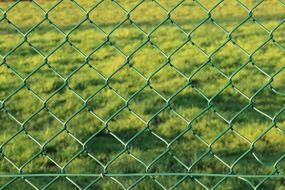 metal wire fence