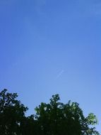 sky blue white tree green