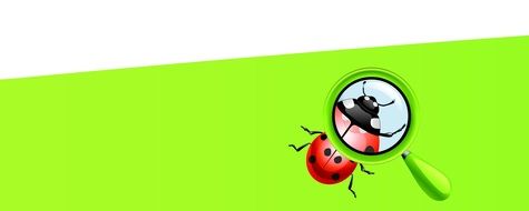 background insect magnifying glass