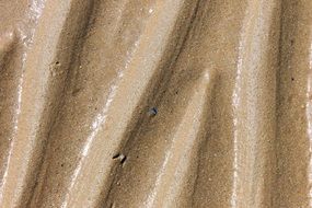 wave texture on the sand