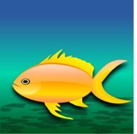 water fish background goldfish