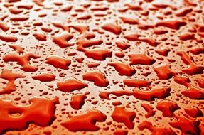 water drops wet macro background