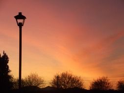 sunset silhouette trees lamp