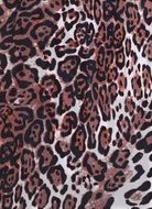 pattern leopard cheetah brown