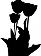 tulips bloom flowers plant