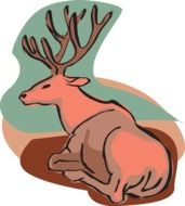 deer style wild background sitting