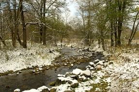 creek in winter