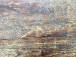 wood teak background