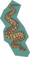 snake brown background reptile