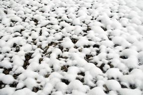 snow snowy seasons white wallpaper