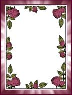 roses postcard stationery message