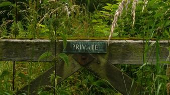 private background grass wood gate