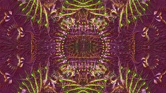 burgundy background with abstract digital art