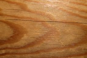 wood board structure texture