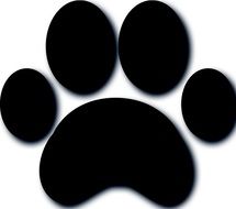paw dog texture pattern structure