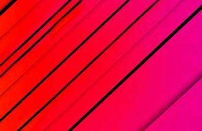 black lines on red and pink background