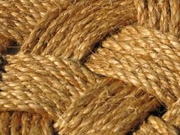 sailor&#039;s rope knot on background