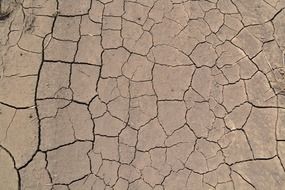 desert dry dirt texture parched
