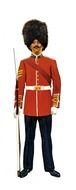 soldier grenadier guard canadian