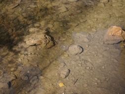 river stones soil pebble