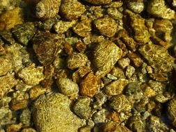 pebble water river textures stone