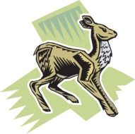 green deer style wild background