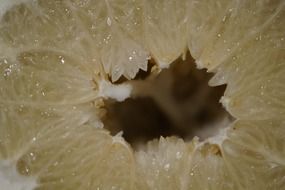 hole in grapefruit inner