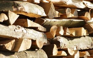 firewood nature landscape craft