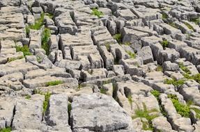 rock cracked background pattern