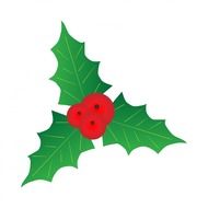 holly leaf leaves berry berries