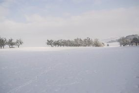 field in the cold winter day