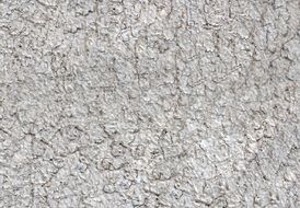 grey color old stone wall texture