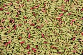 clove herbs background