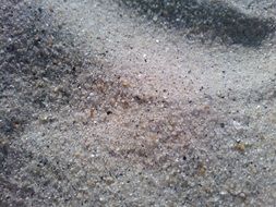 sand texture nature beach natural