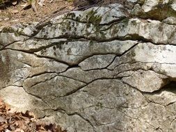 limestone stone pattern grain